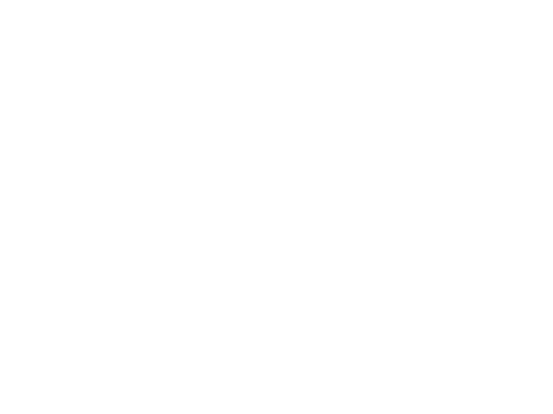 Official Selection of the Breck Film Festival